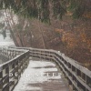 Music for Sleeping Ensemble、Sleep Sleep Sleep、Vibes for Baby Sleep - Inspiring Rainy Atmosphere