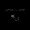 Lumos A Cappella - 所以你睡了没