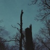 Lauren Henderson、Sullivan Fortner、Eric Wheeler - Trouble