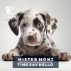 Mister Monj - Time Say Hello (Radio Mix)