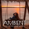 Ambient Algorithm - Moonlit Shoreline Meditation