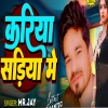 Mr. Jay《Kariye sadiya mein》[MP3/LRC]