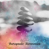 Spa Passenger、Spa Treatment - Therapeutic Harmonics, Stream Ambient Noise