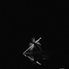 THKT - Butterfly Steps (Radio Edit)