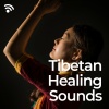 Healing Tibetan Singing Bowls、Meridian Energy Healing、Crystal Singing Bowls Reiki Healing《Tibetan Singing Bowl Bliss》[MP3/LRC]