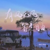 老胡子男孩 - 有风无风皆是自由