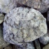 Serene Songs - Weather Forecast For Tomorrow