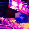 Vane Lily、Apollo Kepler - The H.A.G. (feat. Apollo Kepler)