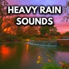 Nature Sounds for Sleep and Relaxation、Rain Sounds、Rain for Deep Sleep、White Noise For Sleeping《Ambient Rainfall For Sleep》[MP3/LRC]