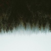The Field Tapes、illi mel、Sunlight Jr.、Kyle McEvoy、Michi Oskah - in between seasons