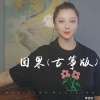 李佳羽 - 因果 (古筝版)