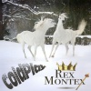 Rex Montex - ColdPlay