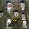 Rex Montex - Attack (to the Castle)