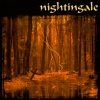 Nightingale - Scarred for Life (Remaster 2024)