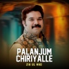 Zia Ul Haq - PALANJUM CHIRIYALLE