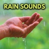 Nature Sounds for Sleep and Relaxation、Rain Sounds、Rain for Deep Sleep、White Noise For Sleeping - Ambient Rainfall For Sleep