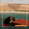 Poznan Philharmonic Orchestra、Lukasz Borowicz、Jonathan Powell - I. Allegro patetico