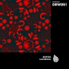 Bortus - Caipirigna (Extended Mix)