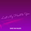 David Van Walker - Lost My Heart to You