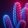Juanito - Night Vegas