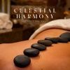 Spa Music Collection - Spa Massage