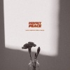 Ealle、Omojo、Shirlvin Desir - Perfect Peace