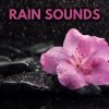 Nature Sounds for Sleep and Relaxation、White Noise For Sleeping、Rain for Deep Sleep、Rain Sounds《Ambient Rainfall For Sleep》[MP3/LRC]