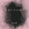 林沐歌 - 宇宙尽头的碎片