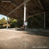 James Carter、Malou - Electric Feel