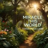 TORORI MUSIC LABO - Miracle In This World