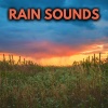 Nature Sounds for Sleep and Relaxation、White Noise For Sleeping、Rain for Deep Sleep、Rain Sounds《Ambient Rainfall For Sleep》[MP3/LRC]