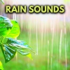 Nature Sounds for Sleep and Relaxation、White Noise For Sleeping、Rain for Deep Sleep、Rain Sounds - Ambient Rainfall For Sleep
