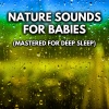 Nature Sounds for Sleep and Relaxation、White Noise For Sleeping、Rain for Deep Sleep、Rain Sounds《White Noise Train Rain》[MP3/LRC]