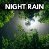 Nature Sounds for Sleep and Relaxation、White Noise For Sleeping、Rain for Deep Sleep、Rain Sounds《White Noise Train Rain》[MP3/LRC]