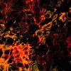 Juanito - Burning Fan