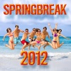 The CDM Chartbreakers - Party Rock Anthem
