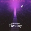 Elektronomia - Destiny