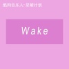 OAO - Wake