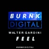 Walter Gardini《Feel》[MP3/LRC]