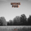 Junco - Witches Pond