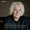 Ronald Brautigam、Franz  Schubert - I. Allegro
