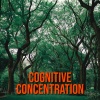 Relaxing Spa Music、Christmas Songs Music - Cognitive Concentration