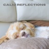 Dog Calming Music、Dog Relaxation、Jack Christiansen《Tranquil Melodies (Loopable, No Fade)》[MP3/LRC]