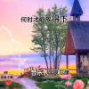 宝贝尔康 - 何时了却这牵挂