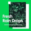 Nature Sounds - Summer Downpours
