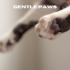 Chiens relaxation profonde、Puppy Music、Music For Dogs Peace、Relaxing Music for Dogs《Gentle Paws (Loopable, No Fade)》[MP3/LRC]