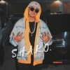 Shako - Me Estoy Enamorando
