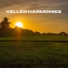 Zee Geluiden、Natuurgeluiden、Dromerige Natuurgeluiden - Velvet Echo (Loopable, No Fade)
