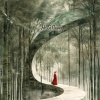 Ho Si Qiang - Celestial Willows