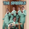 The Spaniels - So Deep Within